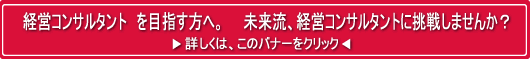 未来流、経営コンサルタント