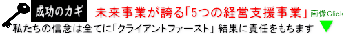 末来事業が誇る５つの経営支援事業／収益改善支援、資金調達支援、不良資産の処分、ビジネスモデルの変革支援、事業承継支援